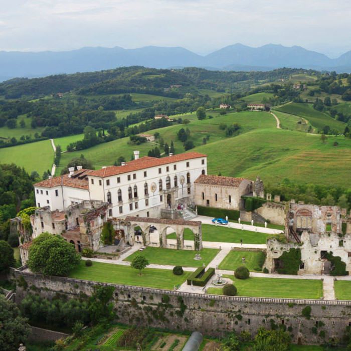 Grand Castle with Hamlet