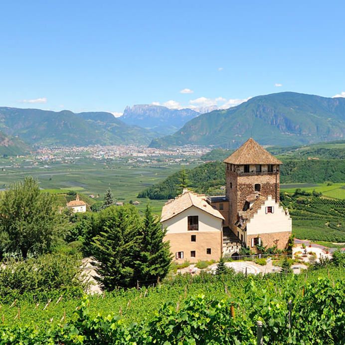 Alpine Castle